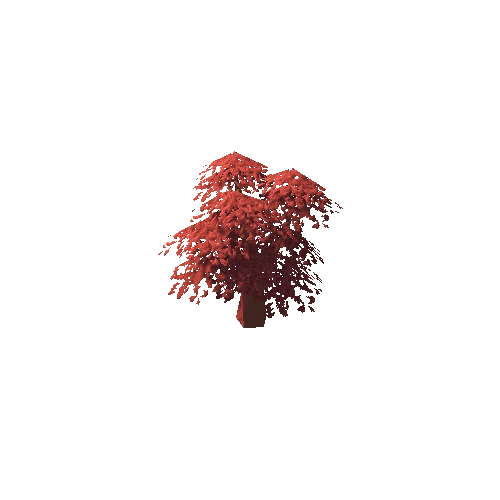 Oak Tree Red Mid 01